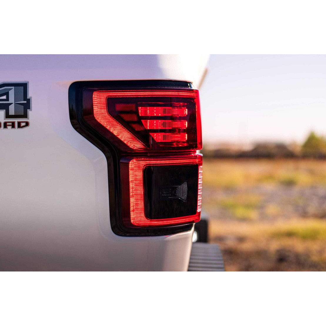 2015-2020 F-150 XB LED Taillights - View 12 | Dirty Garage