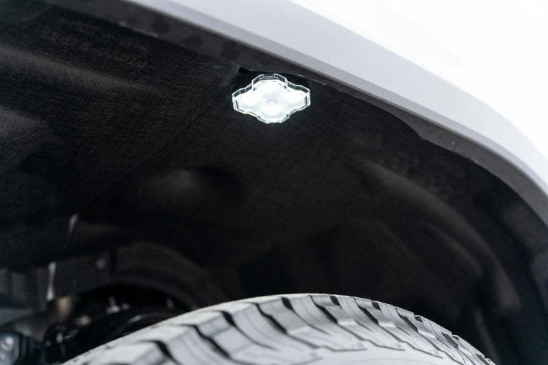 Universal Stage Series RGB+W LED Rock Light Kit - View 4 | Dirty Garage