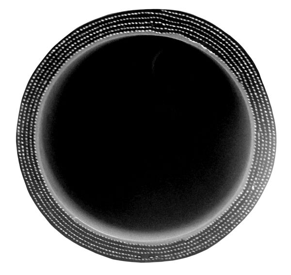 Universal 2.25 Inch X 36 Inch L 6MM 5-Ply Silicone Hose - View 2 | Dirty Garage