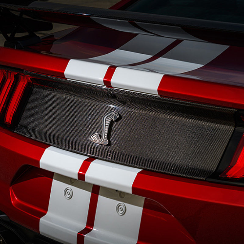 2020-2022 Mustang GT500 Deck Lid Trim Panel - View 9 | Dirty Garage