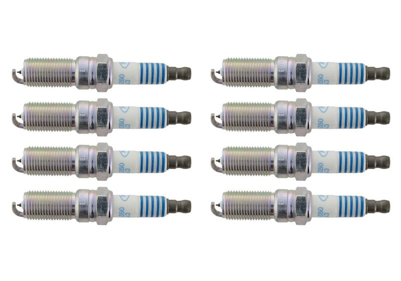 2011-2021 Mustang GT 5.0L Cold Spark Plug Set - View 12 | Dirty Garage