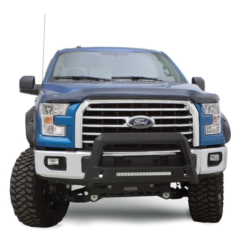 2004-2018 F-150 Black Revolution Bull Bar - View 2 | Dirty Garage