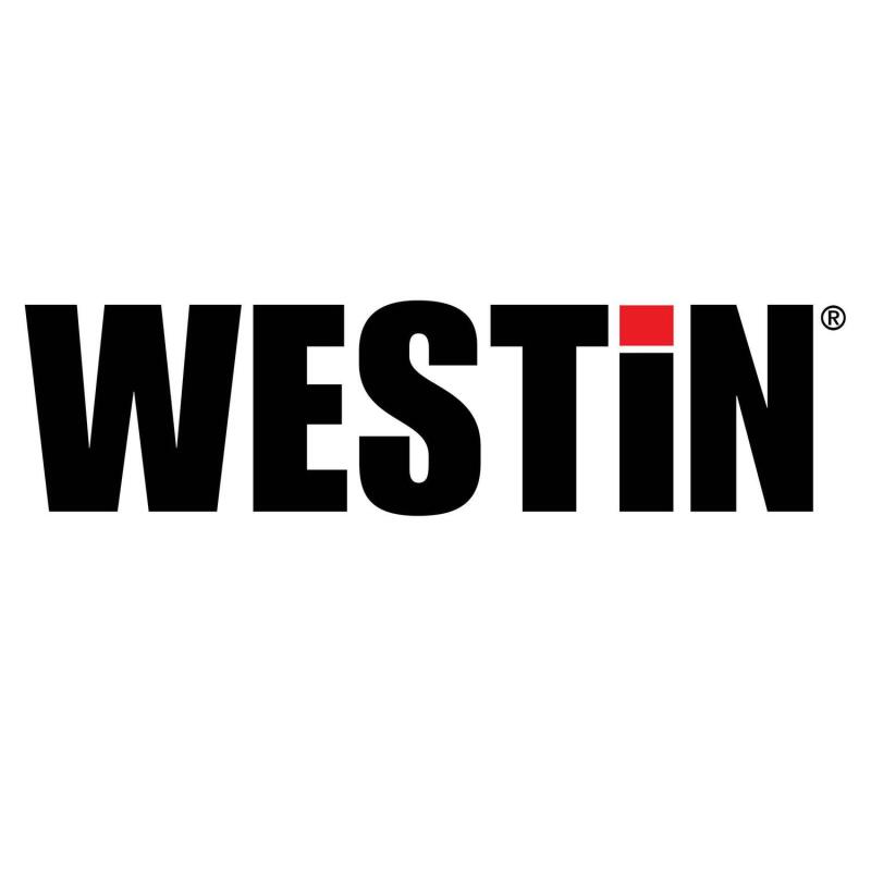 Westin 2009-2018 Dodge/Ram 1500 Reg Cab Platinum 4 Oval Nerf Step Bars - Black - View 8 | Dirty Garage