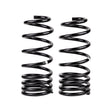 2007-2021 Land Cruiser Rear Coil Spring | Dirty Garage