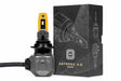 Universal 2Stroke 4.0 LED Bulb | Dirty Garage
