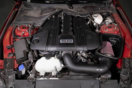 2018-2023 Mustang GT 5.0L V8 (Gas) Catch Can Oil Separator - View 2 | Dirty Garage