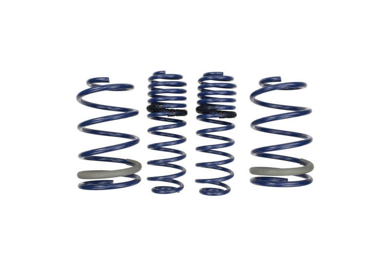 2005-2014 Mustang GT 1.0in. Track Lowering Springs - View 3 | Dirty Garage