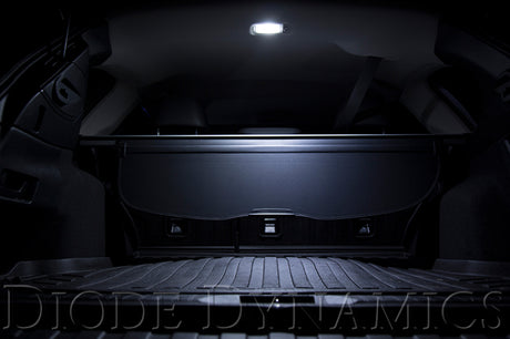 921  HP36 Cool White LED Bulb - View 2 | Dirty Garage