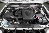 2016-2023 Tacoma 3.5L Oil Catch Can - View 2 | Dirty Garage