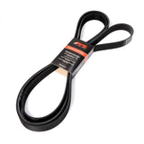 Universal Serpentine Belt - 6.7L Single Alternator and A/C 3157mm 8 Rib - View 3 | Dirty Garage
