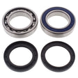 2021 Arctic Cat Blast 4000 Drive Shaft Bearing & Seal Kit Lower Shaft - Track | Dirty Garage