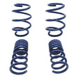 2015-2017 Mustang GT350 Lowering Springs | Dirty Garage