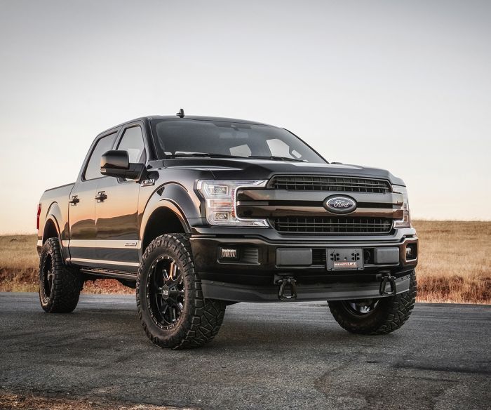 2015-2020 F-150 3.5" Lift Front SST Lift Kit - View 2 | Dirty Garage