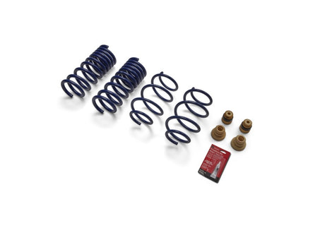 2015-2019 Mustang (w/o MagneRide) Street Lowering Spring Kit - View 6 | Dirty Garage