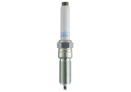 2021-2025 F-150 5.0L Coyote (w/Variable Displacement) Cold Spark Plug Set - View 6 | Dirty Garage