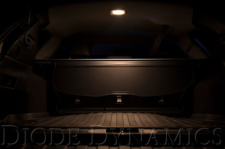 921  HP36 Cool White LED Bulb - View 3 | Dirty Garage