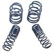 2005-2014 Mustang GT 1.0in. Track Lowering Springs | Dirty Garage