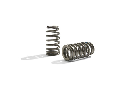 Universal Boss 302R Valve Spring Kit - View 4 | Dirty Garage