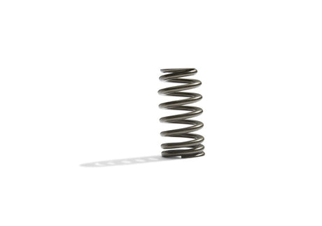 Universal Boss 302R Valve Spring Kit - View 5 | Dirty Garage