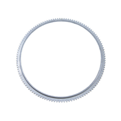 1985-2010 Ford 10.25 in/Ford 10.5 in Rear ABS exciter ring (tone ring) | Dirty Garage