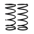 1996-2004 Nissan Pathfinder/Pathfinder Armada Coil Spring Rear Pathfinder R50 | Dirty Garage