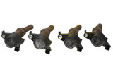 Universal 4.6L/5.4L 3V Ignition Coil Set - View 8 | Dirty Garage