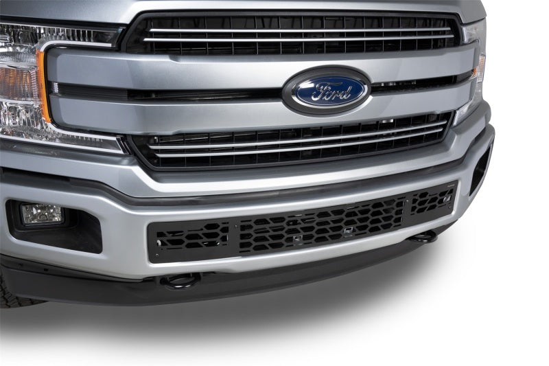 2018-2020 F-150 Black Hex Shield Style Bumper Grille Inserts - View 3 | Dirty Garage