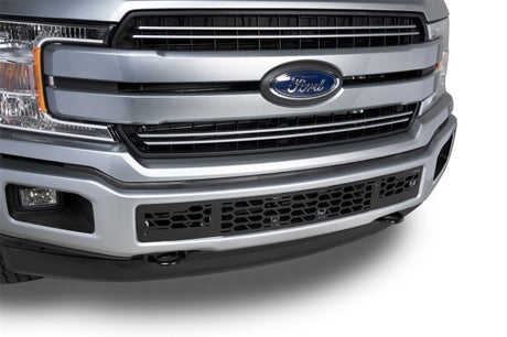 2018-2020 F-150 Black Hex Shield Style Bumper Grille Inserts - View 3 | Dirty Garage