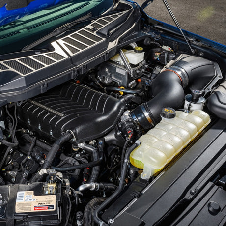 2021-2025 F-150 5.0L Supercharger Kit - View 2 | Dirty Garage