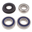 2006 Ski-Doo Freestyle 300F Drive Shaft Bearing & Seal Kit Lower Shaft - Track | Dirty Garage