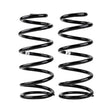 2003-2024 Coil Spring Rear Prado 4/ | Dirty Garage