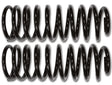 2003-2007 Toyota 4Runner FJ Rear 2" Spring Kit | Dirty Garage