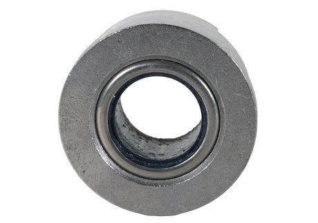 Universal 4.6L/5.4L/5.0L 4V TiVCT Modular Engines Roller Pilot Bearing - View 15 | Dirty Garage