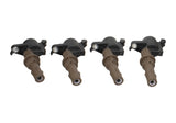 Universal 4.6L/5.4L 3V Ignition Coil Set - View 10 | Dirty Garage