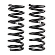 1987-2014 Nissan Pathfinder/Pathfinder Armada Coil Spring Rear R51 Pathfider HD | Dirty Garage