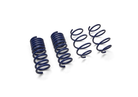 2015-2019 Mustang (w/o MagneRide) Street Lowering Spring Kit - View 8 | Dirty Garage