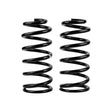 2003-2024 Coil Spring Rear Prado 4/ | Dirty Garage