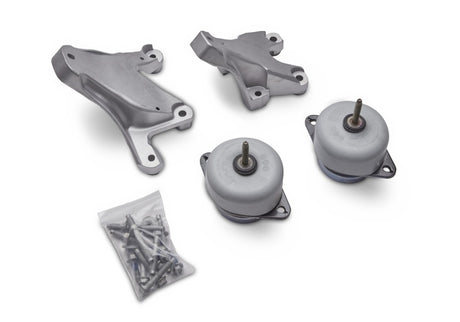2011-2015 Mustang GT 5.0L Coyote Engine Swap Mounts - View 5 | Dirty Garage