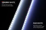 Universal RGB+W Multicolor Underglow LED Kit - View 7 | Dirty Garage
