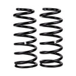 2007-2021 Land Cruiser Rear Coil Spring | Dirty Garage