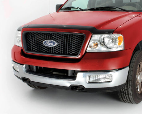 2004-2008 F-150 Smoke Aeroskin - View 2 | Dirty Garage
