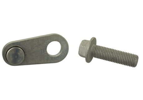 Universal Mustang 2.0L/2.3L EcoBoost Balance Shaft Block-Off Plug - View 11 | Dirty Garage