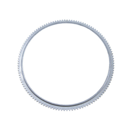 1985-2010 Ford 10.25 in/Ford 10.5 in Rear ABS exciter ring (tone ring) - View 3 | Dirty Garage
