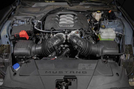2024 Mustang Catch Can/Oil Separator - View 4 | Dirty Garage