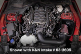 2018-2023 Mustang GT 5.0L V8 (Gas) Catch Can Oil Separator - View 4 | Dirty Garage