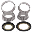 2014-2016 Honda NSS300 Steering Bearing Kit | Dirty Garage