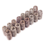 Universal Boss 302R Valve Spring Kit | Dirty Garage