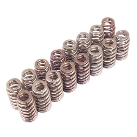 Universal Boss 302R Valve Spring Kit | Dirty Garage