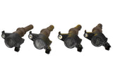 Universal 4.6L/5.4L 3V Ignition Coil Set - View 14 | Dirty Garage