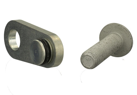 Universal Mustang 2.0L/2.3L EcoBoost Balance Shaft Block-Off Plug - View 15 | Dirty Garage